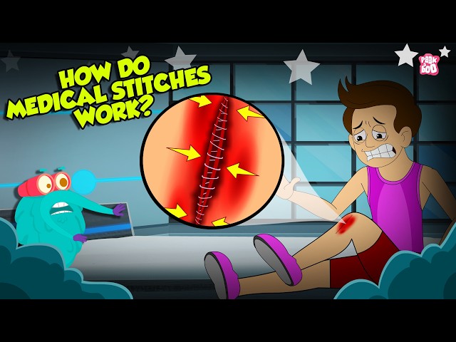 How Stitches Work? | Stitches Healing Stages | Sutures and Its Types | The Dr. Binocs Show