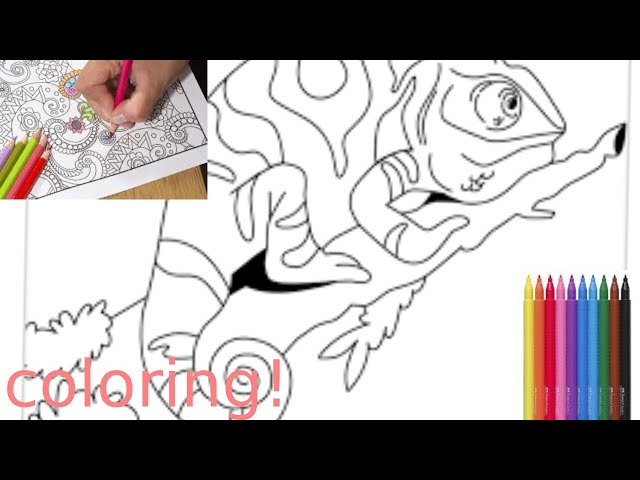 How To Make a Coloring Game In Code.org!