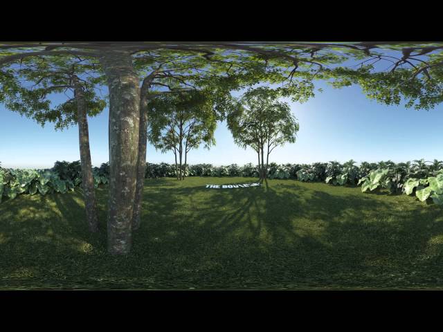 Animated Tree 360