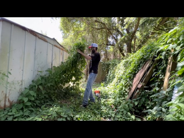 She Quietly Watched Me Clean This Backyard… (it got EMOTIONAL)