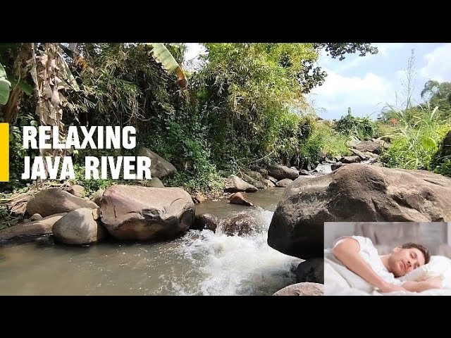 The Sound of Flowing Water for Sleep, Meditation, and Stress Relief
