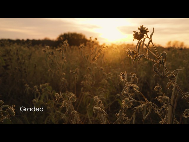 Sony A7s ii Unboxing & Day 1 - Graded vs Ungraded