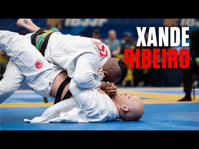SUPERCUT: Every Match From Xande Ribeiro's Epic 2025 Return To Euros
