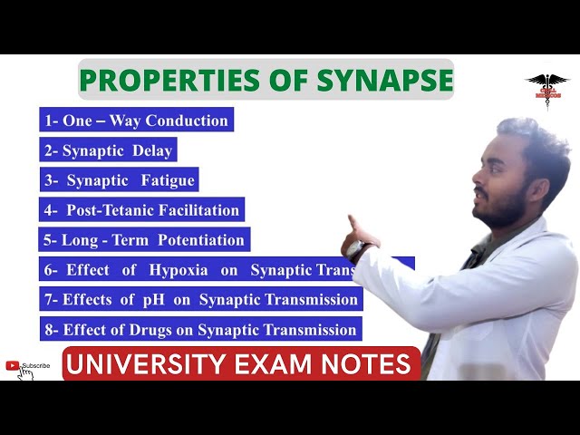 Properties of synapse physiology || CNS Physiology.