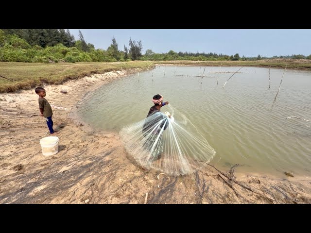Best Net Fishing Video - Traditional Catching Fish in The River