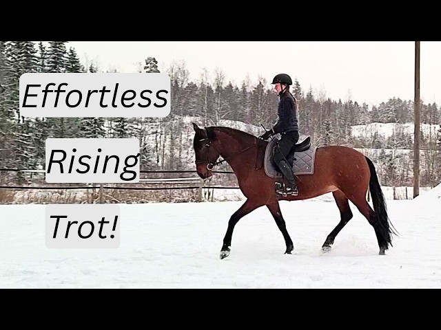 Rising Trot Masterclass: How to Ride Rising Trot / Posting Trot Correctly (+Common Mistakes)