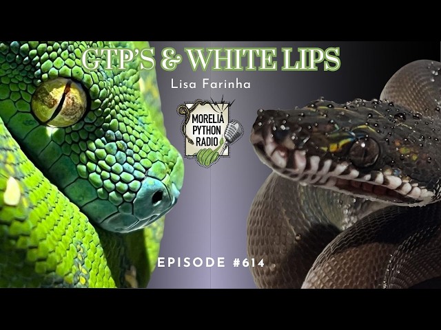 GTP's & White Lips w/ Lisa Farinha