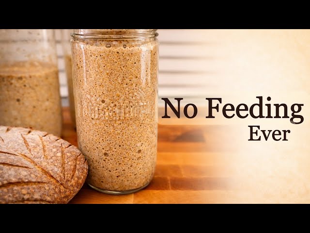 Homemade Yeast — No Feeding, No Starter | 2 Simple Methods