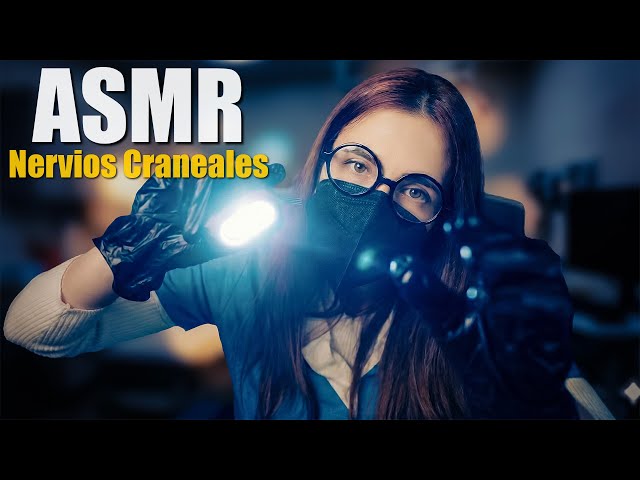 ASMR NERVIOS CRANEALES realista y completo | Asmr Roleplay 4k