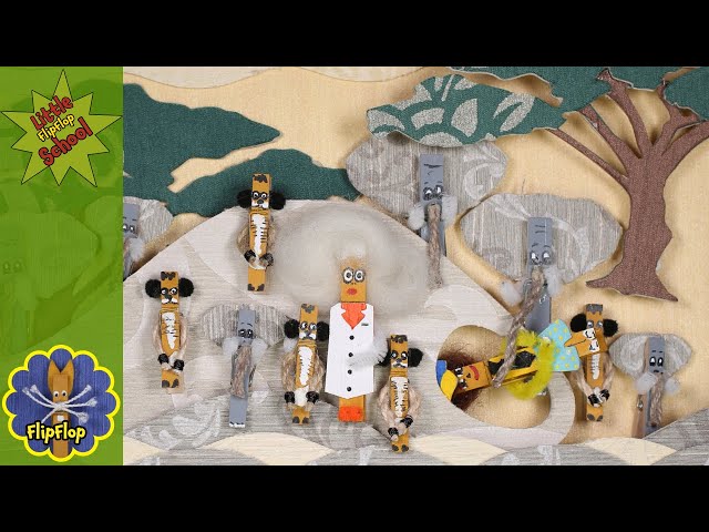 Quick knowledge: Learn about meerkats and elephants!