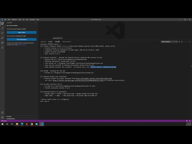 run flutter doctor en VS Code