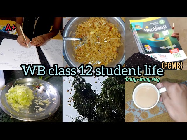 Class 12 study vlog as a bengali student 💕💪