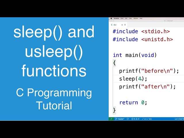 sleep() and usleep() functions | C Programming Tutorial