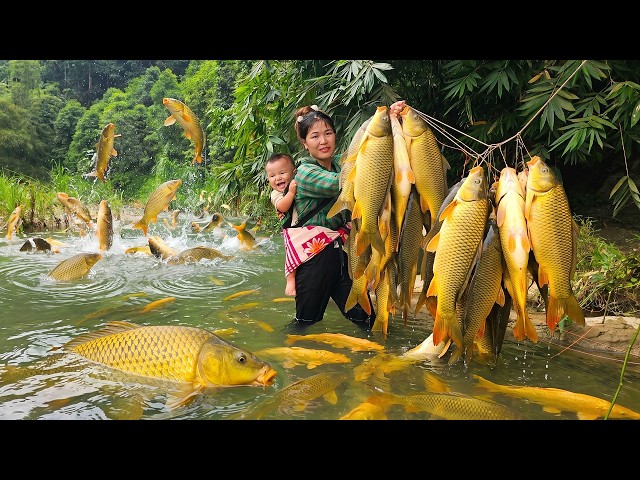 Just One Night, and the Fishing Rods Brought in an Incredible Haul of Giant Fish.