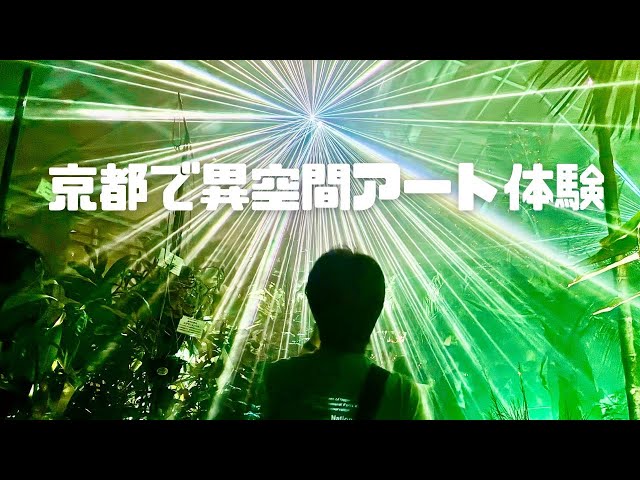 京都で異空間体験！LIGHT CYCLES KYOTOがイマーシブ過ぎた