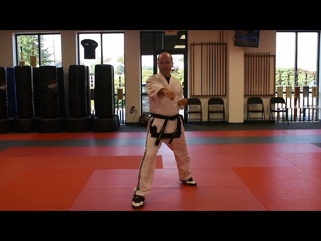 Jay's United Karate Studio - Basic Form 1