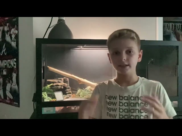 Ball python tips and facts part2
