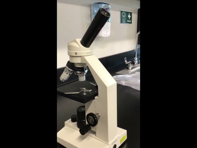 Microscope Exploration