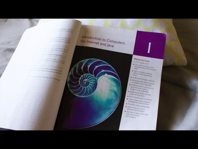 ASMR Learn to Program Java Chapter 1