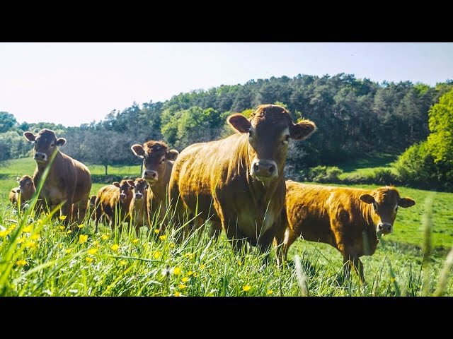 GAEC La Mouthe - Famille Lafaye