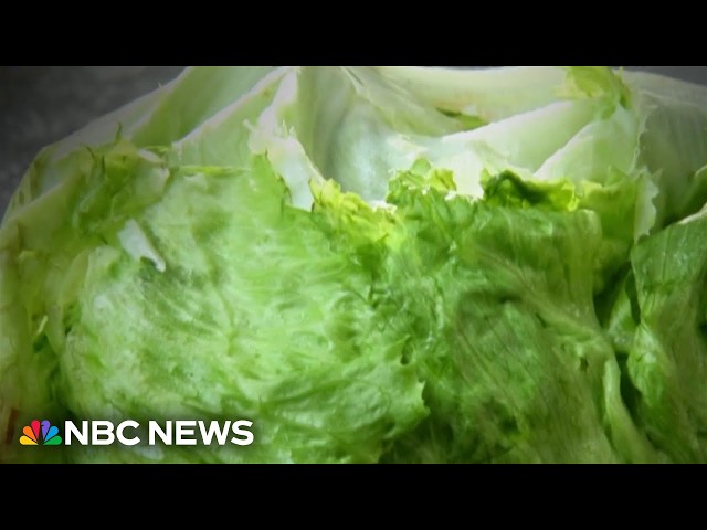 Iceberg lettuce recall grows to 27 states amid parasite concern