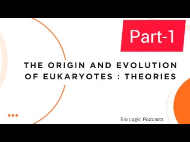 Bsc zoology/Msc.Zoology/Origin and evolution of eukaryotes/prokaryotic v/s eukaryotes