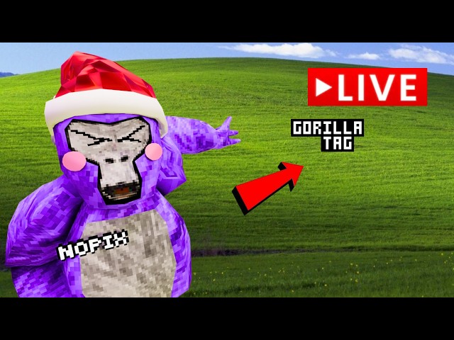 SUBSCRIBE AND DONATION = SHOUTOUT 🔴 GTAG MINIGAMES LIVESTREAM 🔴 (donations in description)