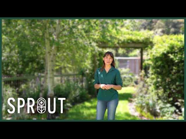 Spring Gardening Tips - Lush Lawns, Stress-Free Plants and Easy Composting
