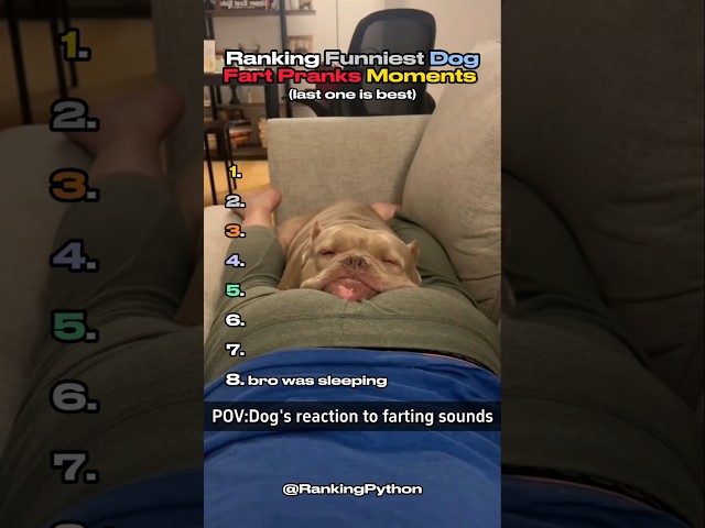 Ranking Funniest Dogs Fart Pranks Moments Ever 🐕 #shorts #ranking