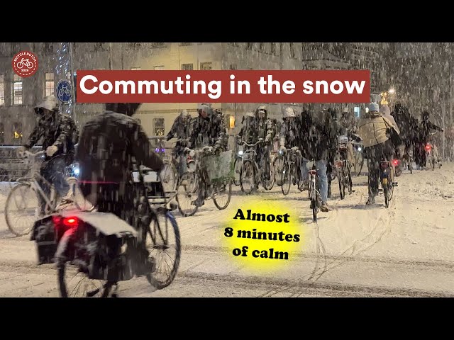 Commuting in the snow (Utrecht, Netherlands)