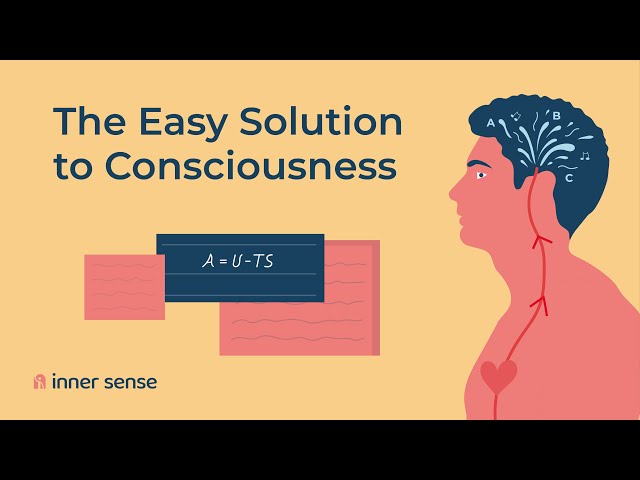 The Easy Solution to Consciousness - TOE's #PaCE1 Contest
