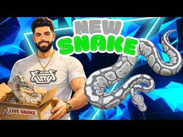 This Snake Unlocks A New Double Recessive Project 