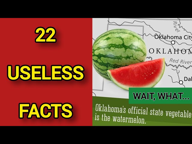 Absurdly Random Facts You Can’t Unlearn | 22 USELESS Facts
