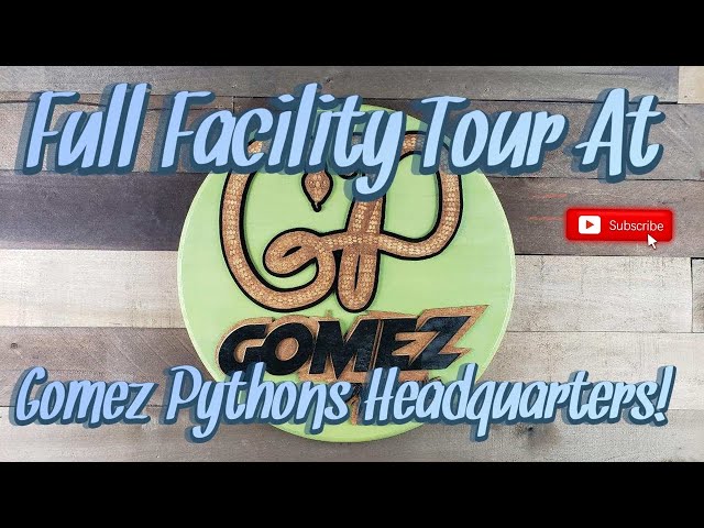 Complete Facility Tour With Sal From Gomez Pythons - Lets Check Out Some Reptiles!