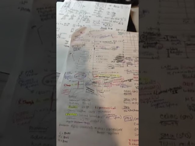 TrueLearn was my main resource to prep for COMLEX Level 3!