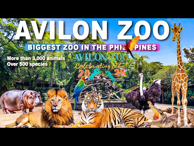 AVILON ZOO Full Tour 2026 | Meet the Incredible Animals of the Philippines’ Largest Zoo!