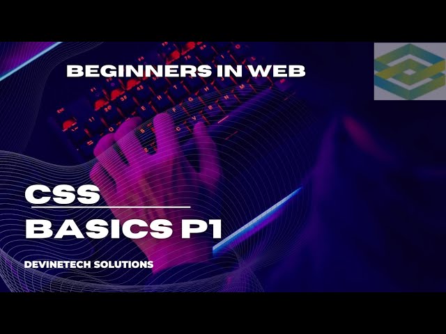 CSS for Beginners | Basics, Types & Practical Usage