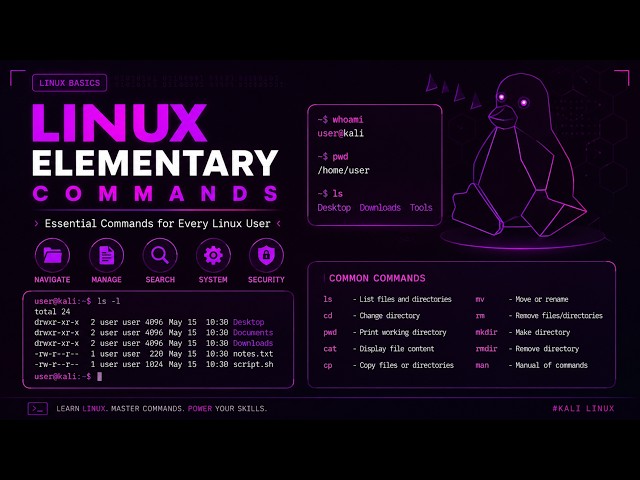 Linux Elementary Commands | Essential Linux Commands for Beginners | Hindi