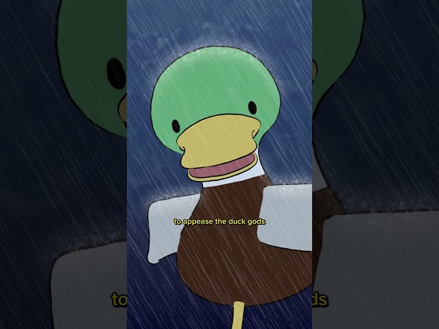 Ducks often stand still in rain. Likely to save energy and stay warm, but we have our own theory
