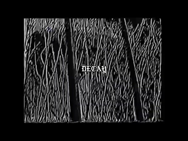 DECAY - Prod.SINCLOUD (visualizer)