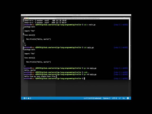 Learn Go: The Language That Will Change How You Code (Teaser)