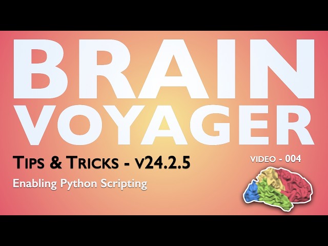 BrainVoyager Tips & Tricks - v24.2.5 - Enabling Python Scripting
