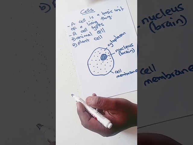Zimsec Combined Science