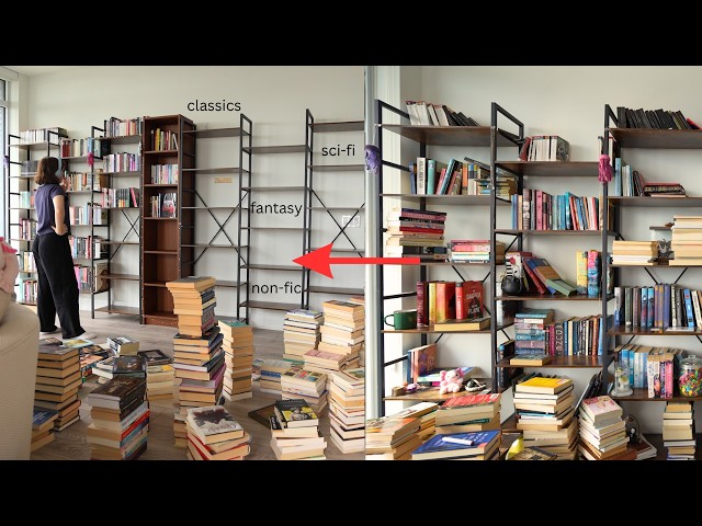 a big bookshelf reorganization! sorting out my home library