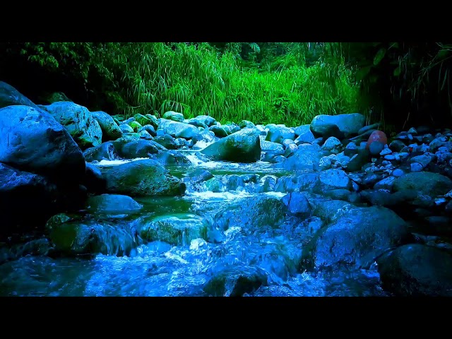 🍃 Silent River Flow ASMR Sounds for Deep Sleep, Relaxation & Calm Focus