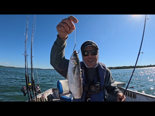 Fishing for monsters (Catch & Cook)