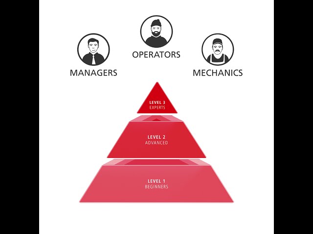 Driver Training: PRO ACADEMY Level System - English