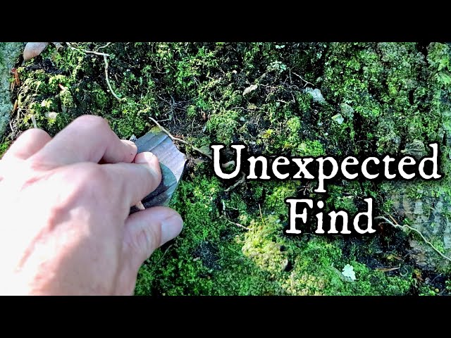 Good thing I brought my metal detector because found something awesome