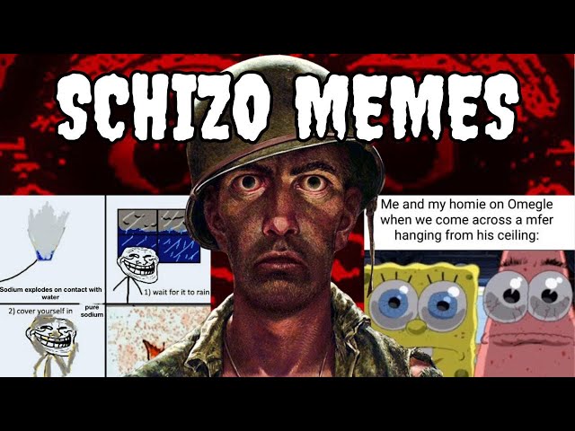 Explaining Schizo Memes