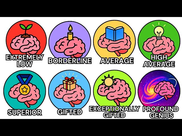Every Level of Intelligence Explained In Detail